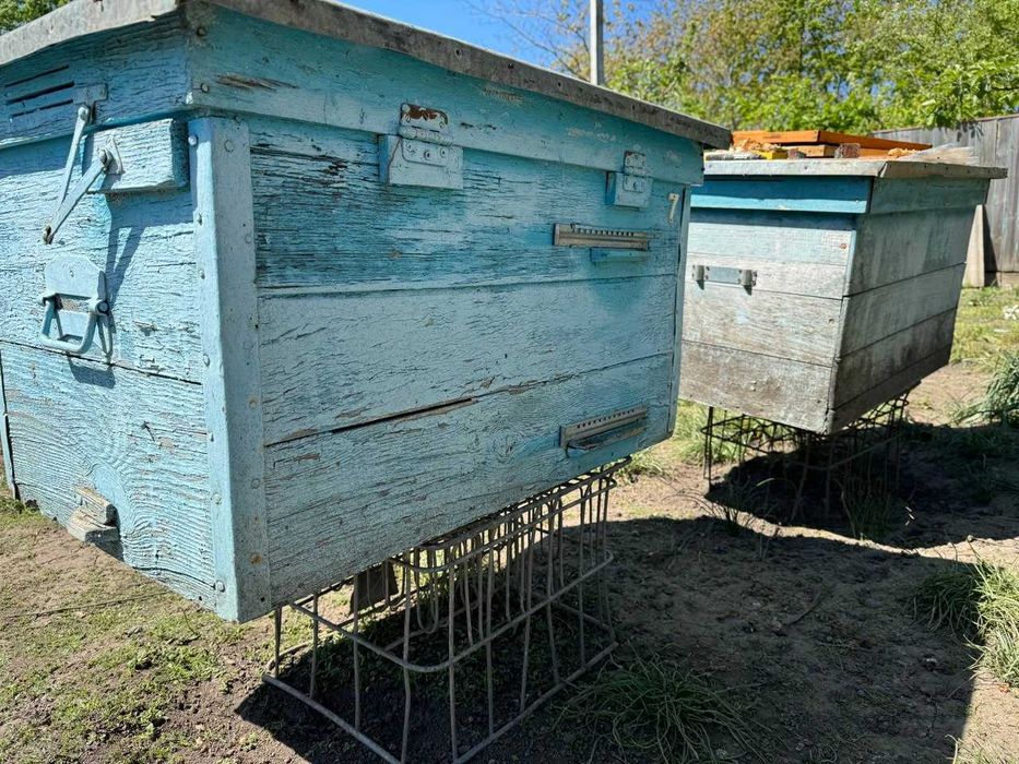 Продам вулики дадан
