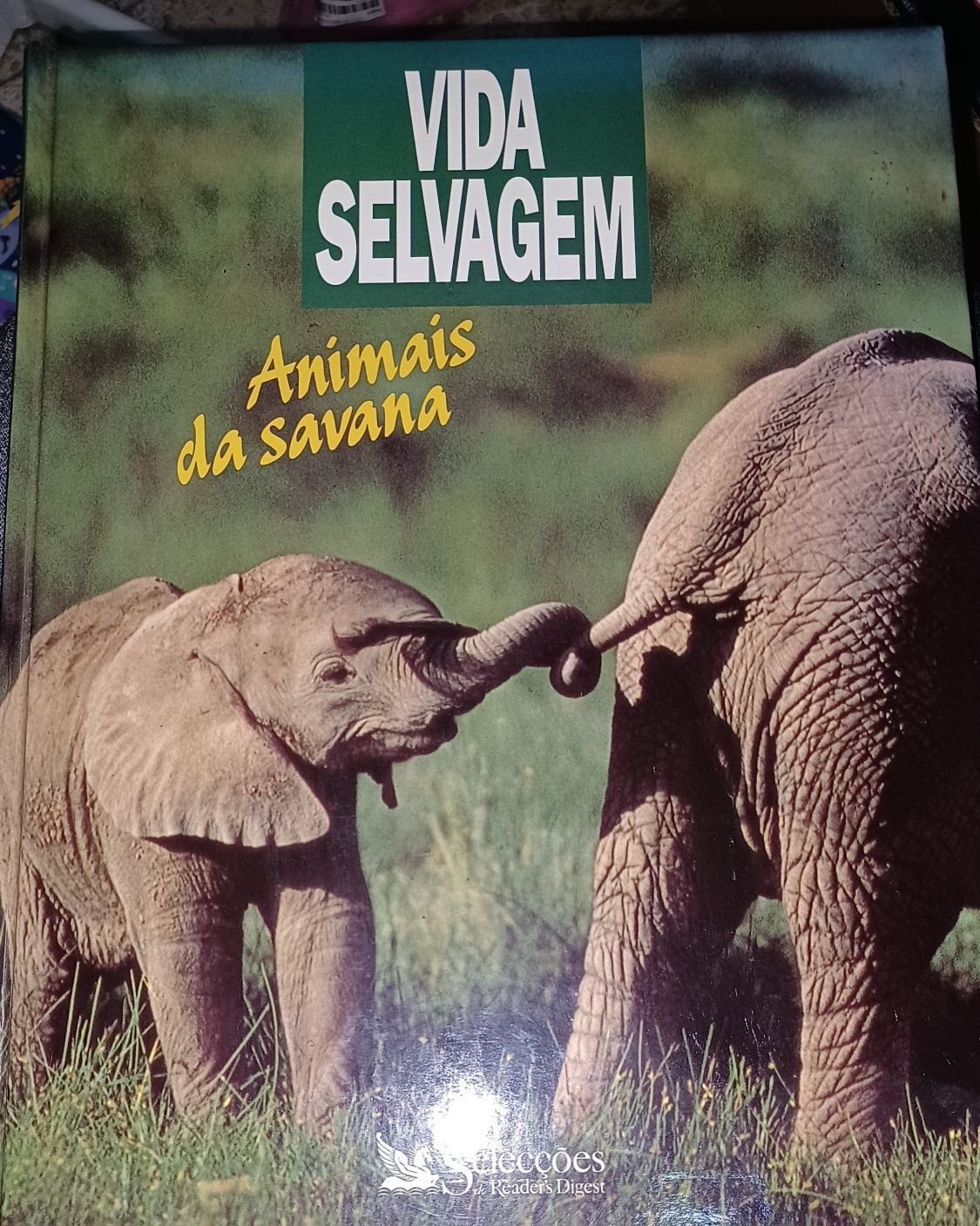Livro Vida Selvagem - Animais da Savana