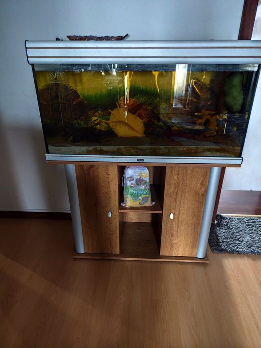 Vendo aquário com movel