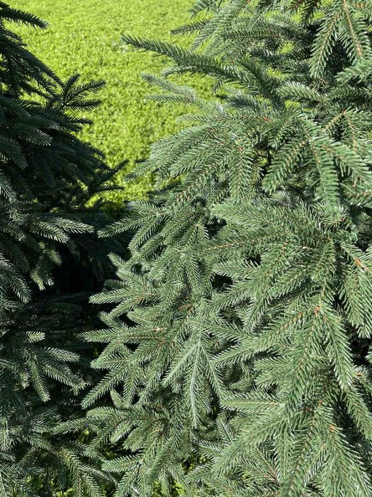 Знижки! Штучна лита ялинка Смерека преміум! Искусственная литая ель