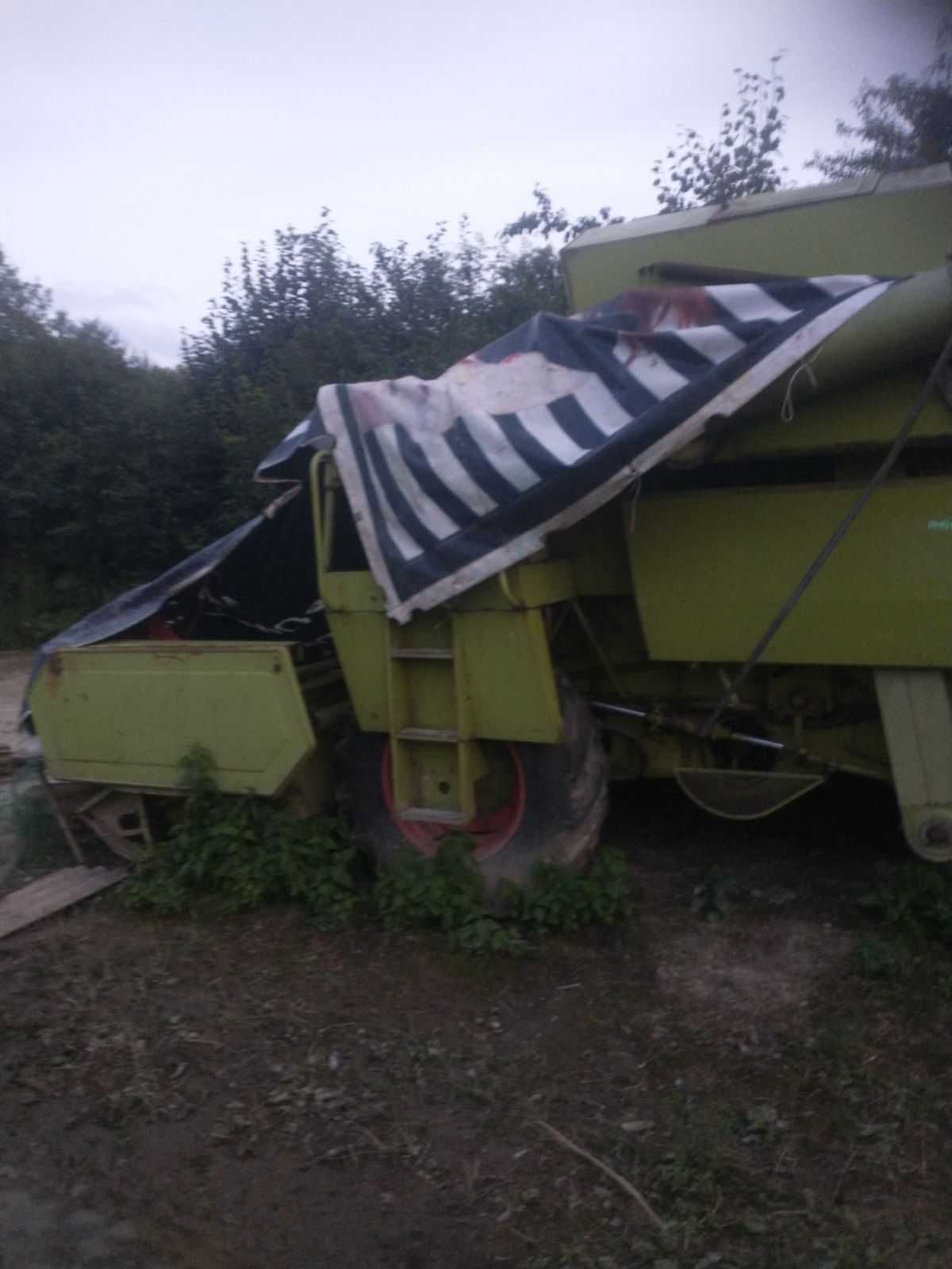 Claas Corsar z sieczkarnia