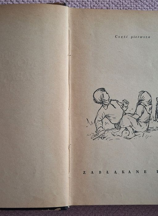 Zbłąkane ptaki Gustaw  Morcinek
