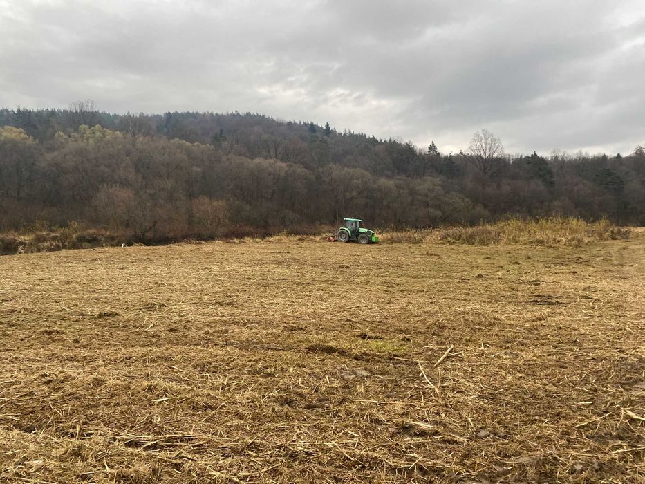 Mulczer leśny, mulczowanie, czyszczenie działek, wylesianie