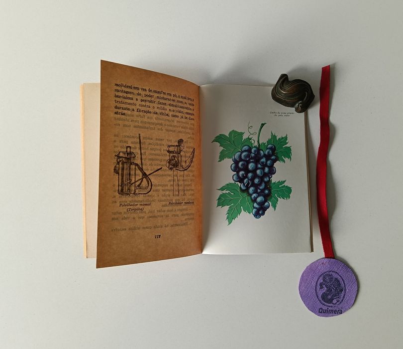 A vinha, Alfredo Baptista