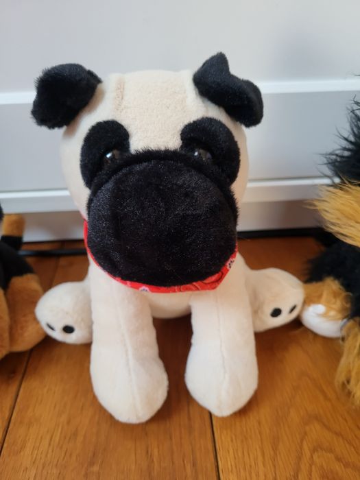 zestaw 3 pluszowych piesków, pieski pluszaki Ty, Pepco