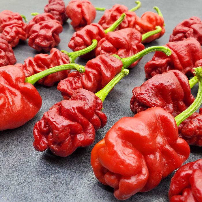 Насіння гострого перцю (Carolina Reaper, Habanero, Jalapeno та інші)