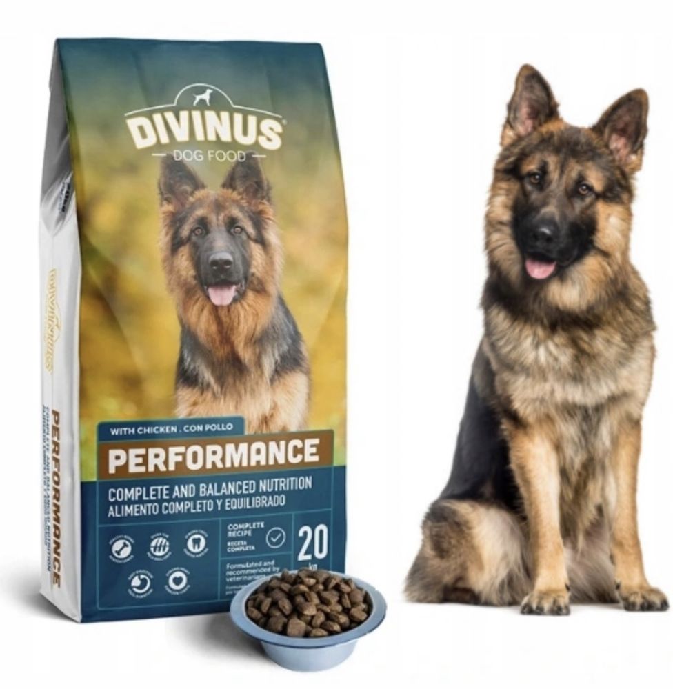 Divinus Performance  karma dla  OWCZARKA 42% mięsa 20KG! Gratis!