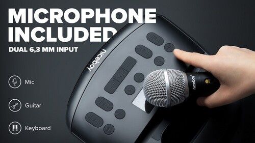 NICEBOY PARTYBOY 2 100W Портавивна колонка