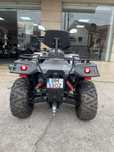 Vendo LINHAY 500cc