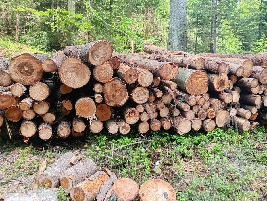 Drewno opałowe metrowki