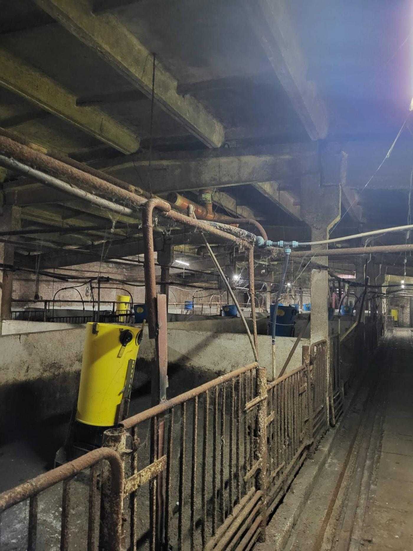 Продаж /Підприємство/ Ферма/ Шептицький/Львівська область