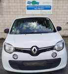 Para peças RENAULT Twingo III (BCM_)