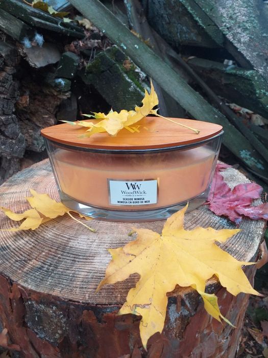 Ароматична свічка WoodWick 453,6 гр (Оригінальна)+ Подарунок