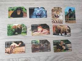 Karty telefoniczne zwierzęta w zoo