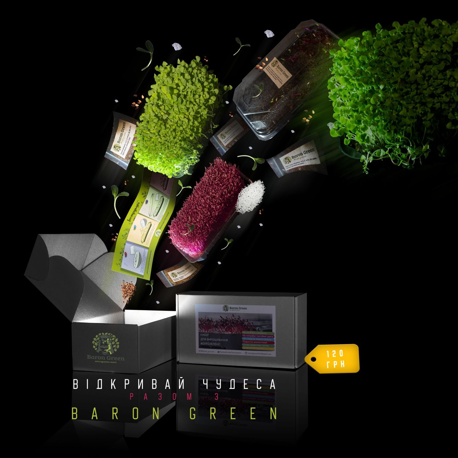 Набір для вирощування мікрозелені | microgreen