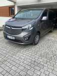 Opel Vivaro Pierwszy właściciel, auto zadbane, bezwypadkowe po serwisie olejowym
