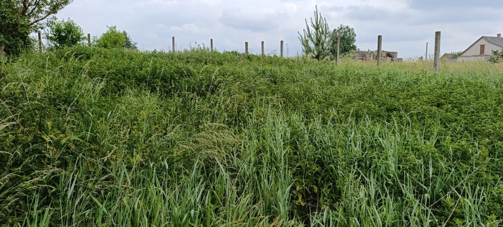 м. Рожище, Земельна ділянка.