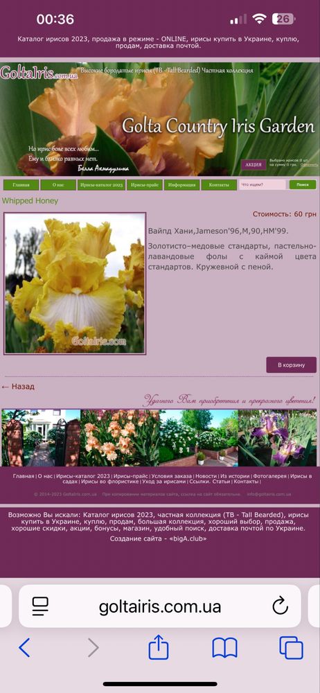 Стильный Медовый Ирис, корневище, редкость, количество ограничено