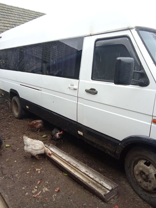 Автобусы iveco daily