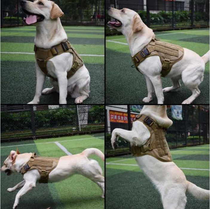 Arnês Peitoral para Cão