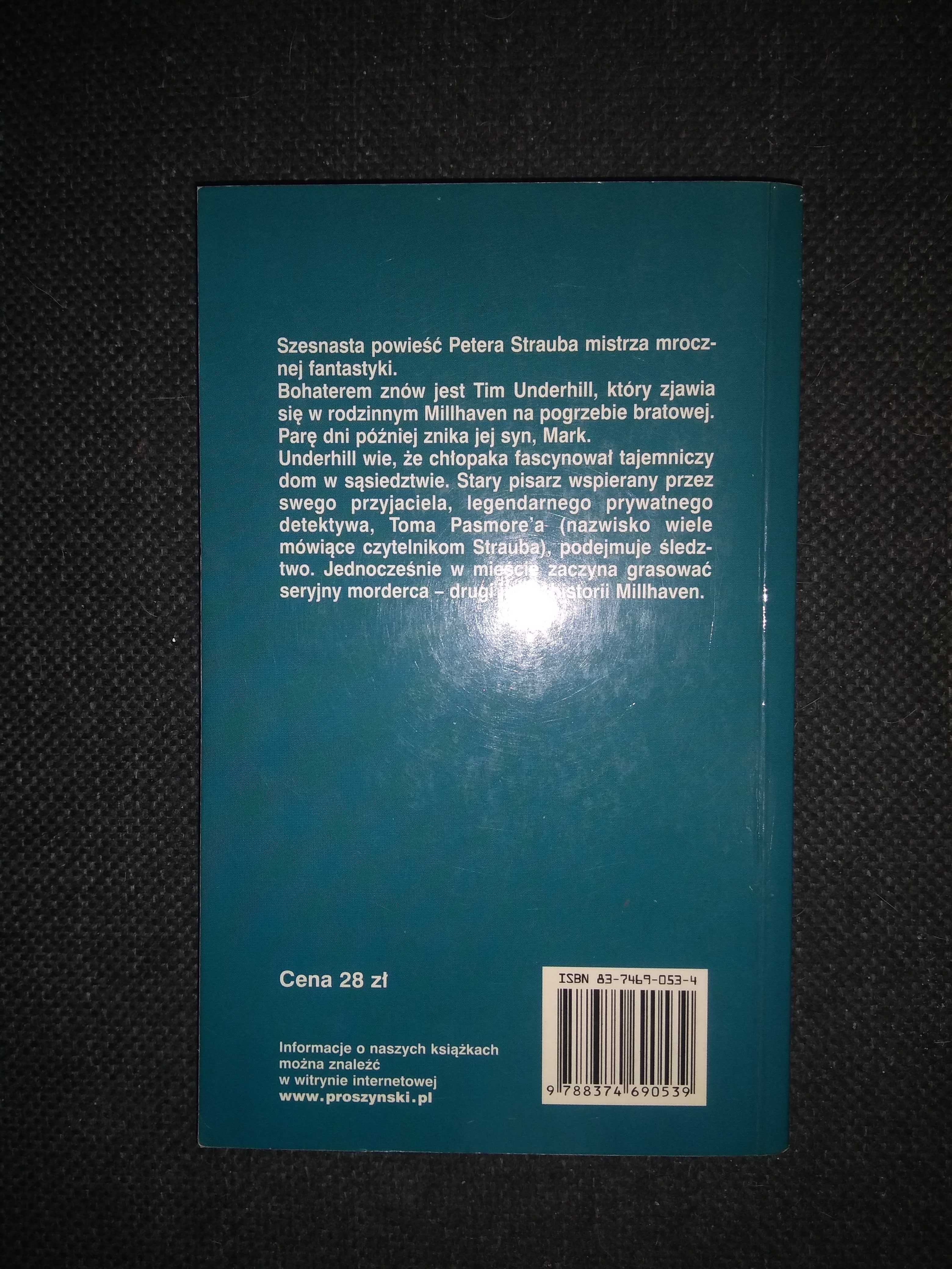 Dobra książka - Zaginiony, zaginiona Peter Straub (P53)