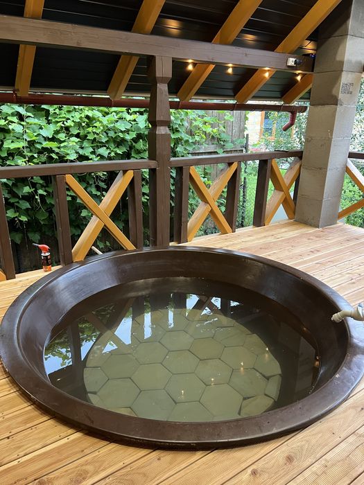 Котедж в Карпатах