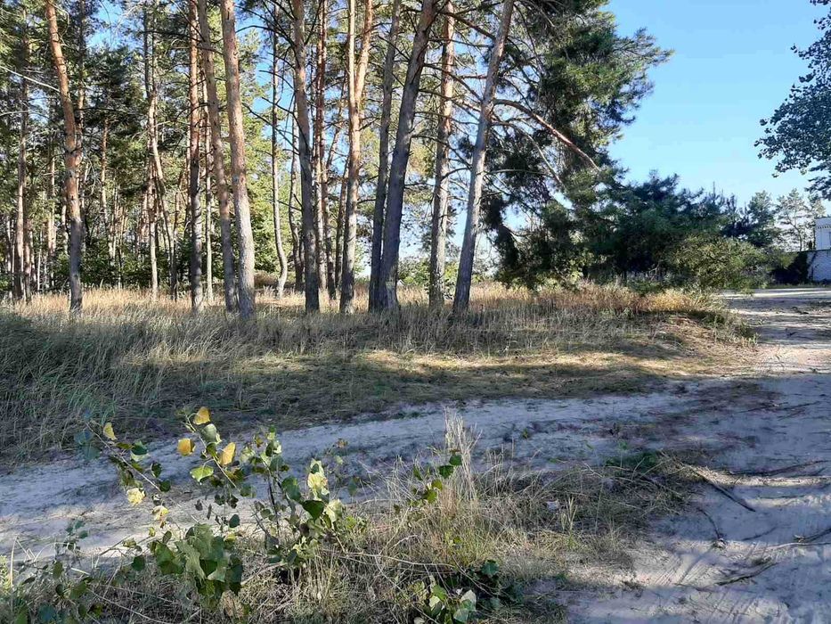 участок от Черкасс за свидивок сокирна с Елизаветовка выход в Днепр