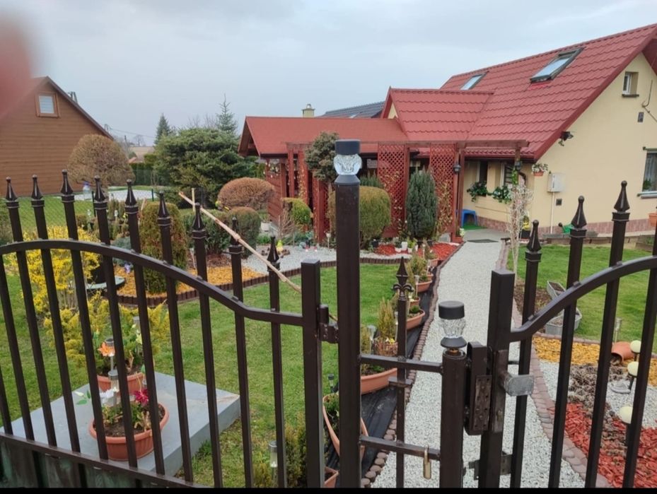 Domek całoroczny woda ogrzewanie centralne do wynajęcia ROD