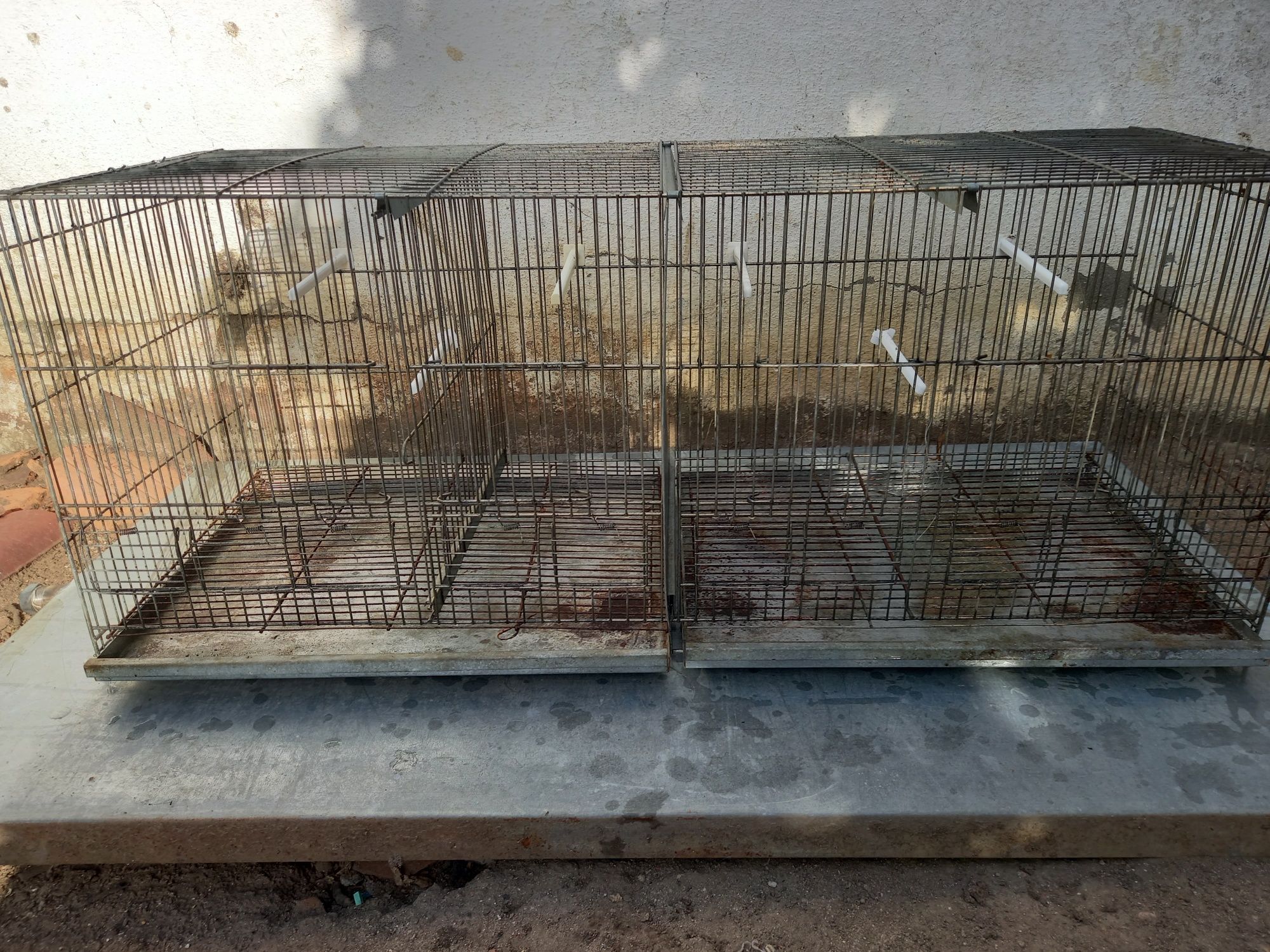 Gaiolas para aves