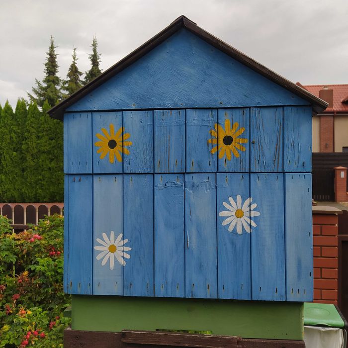 Ul wielkopolski 12-to ramkowy