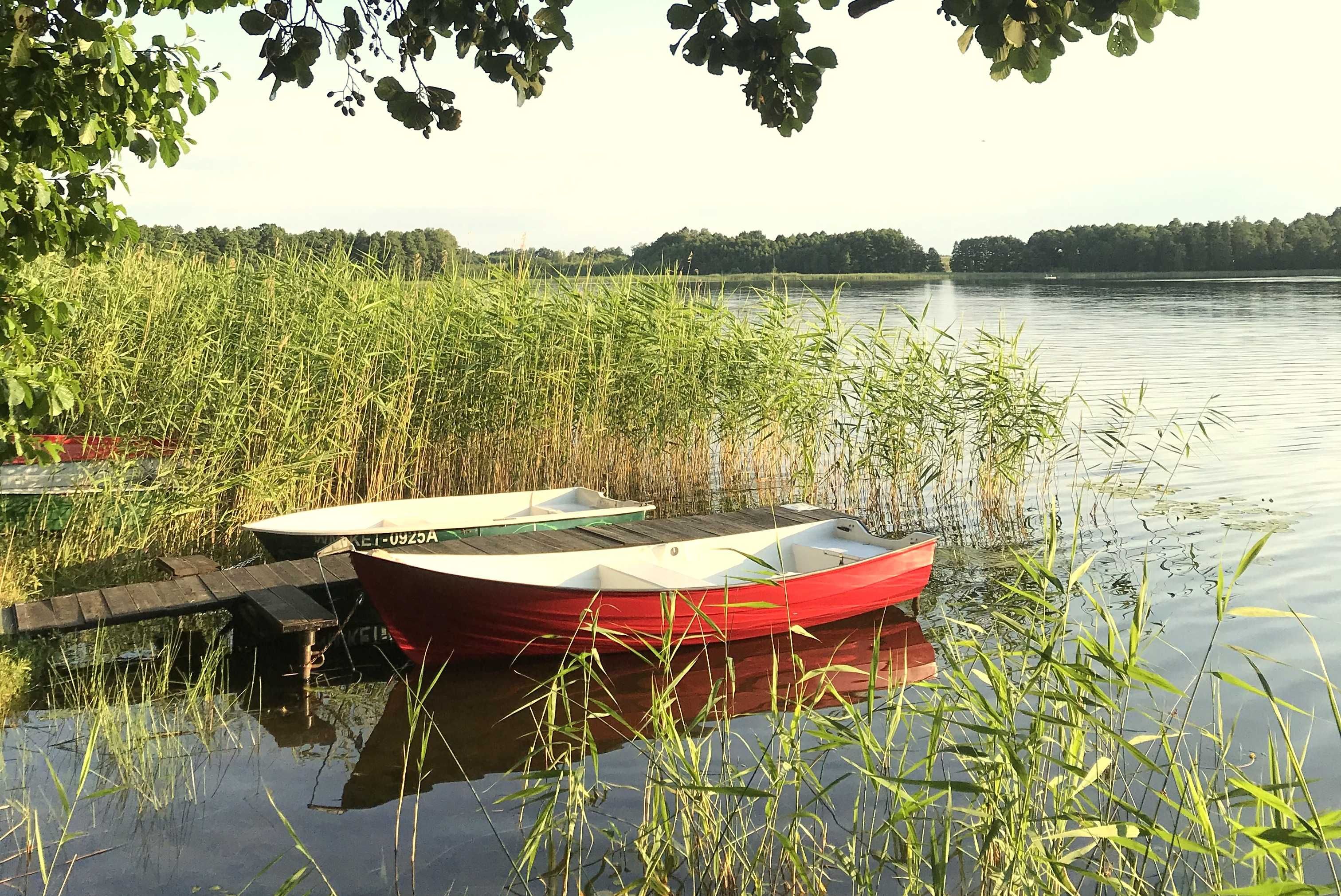 Domki nad jeziorem Wersminia ; plaża , łowisko , las