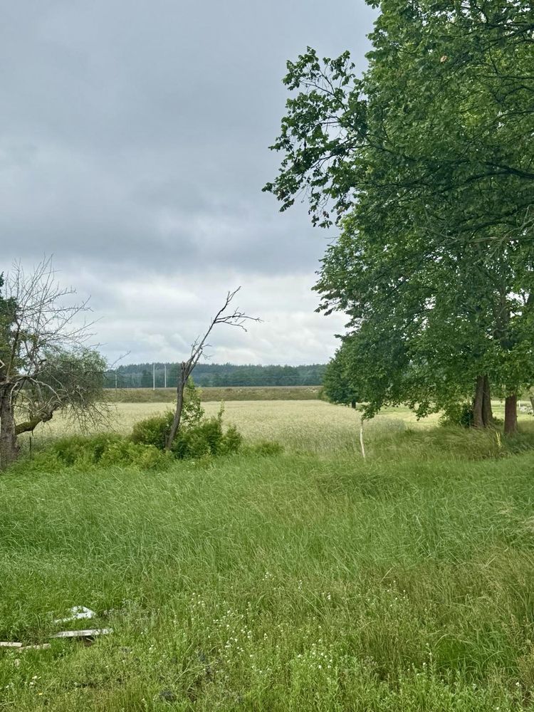 Gospodarstwo z ogromnym potencjałem nad rzeką Drawą