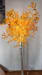 Lampa drzewko LED