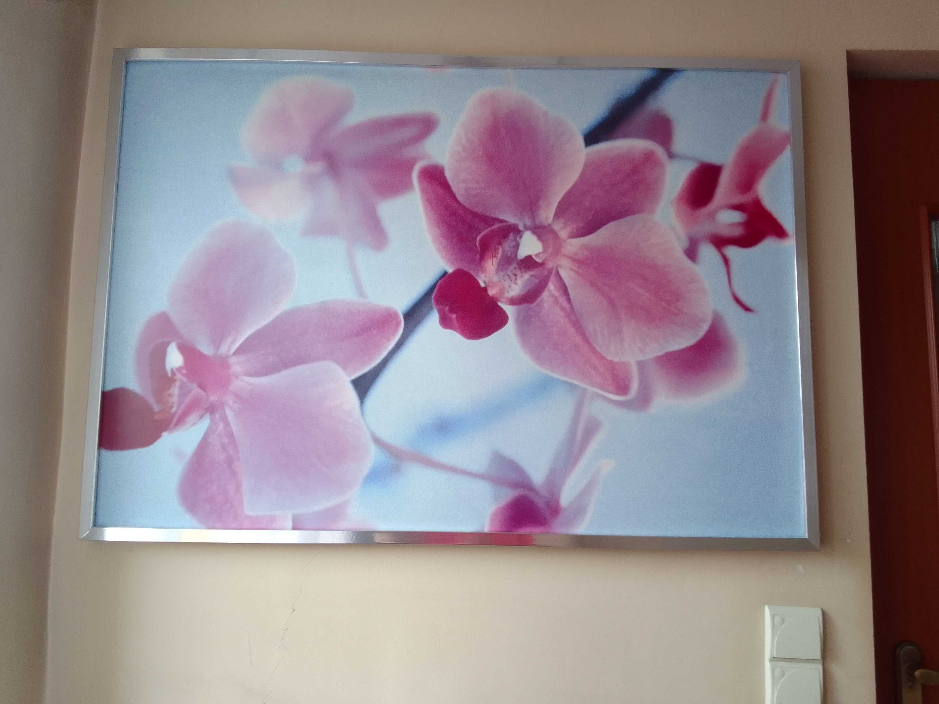 Obraz ikea storczyk orchidea