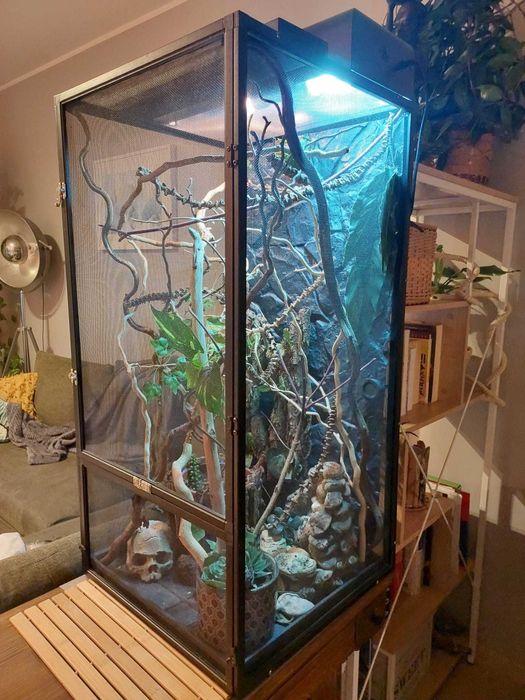 Terrarium dla kameleona + niezbędne wyposażenie