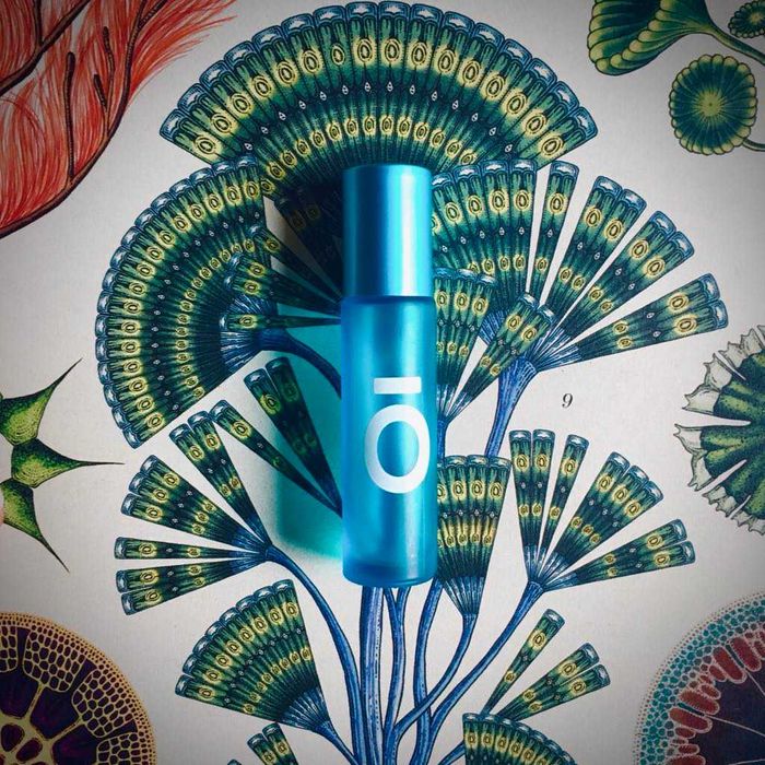 PERFUMY BOTANICZNE dla czakry gardła: wetiweria_mirra_limba_pieprz