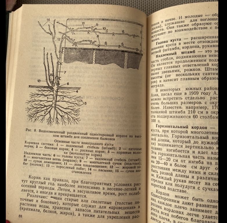 Сад и огород любителя: Ред.-сост. Н. Держаков. Донецк, 1991.- 336 с.