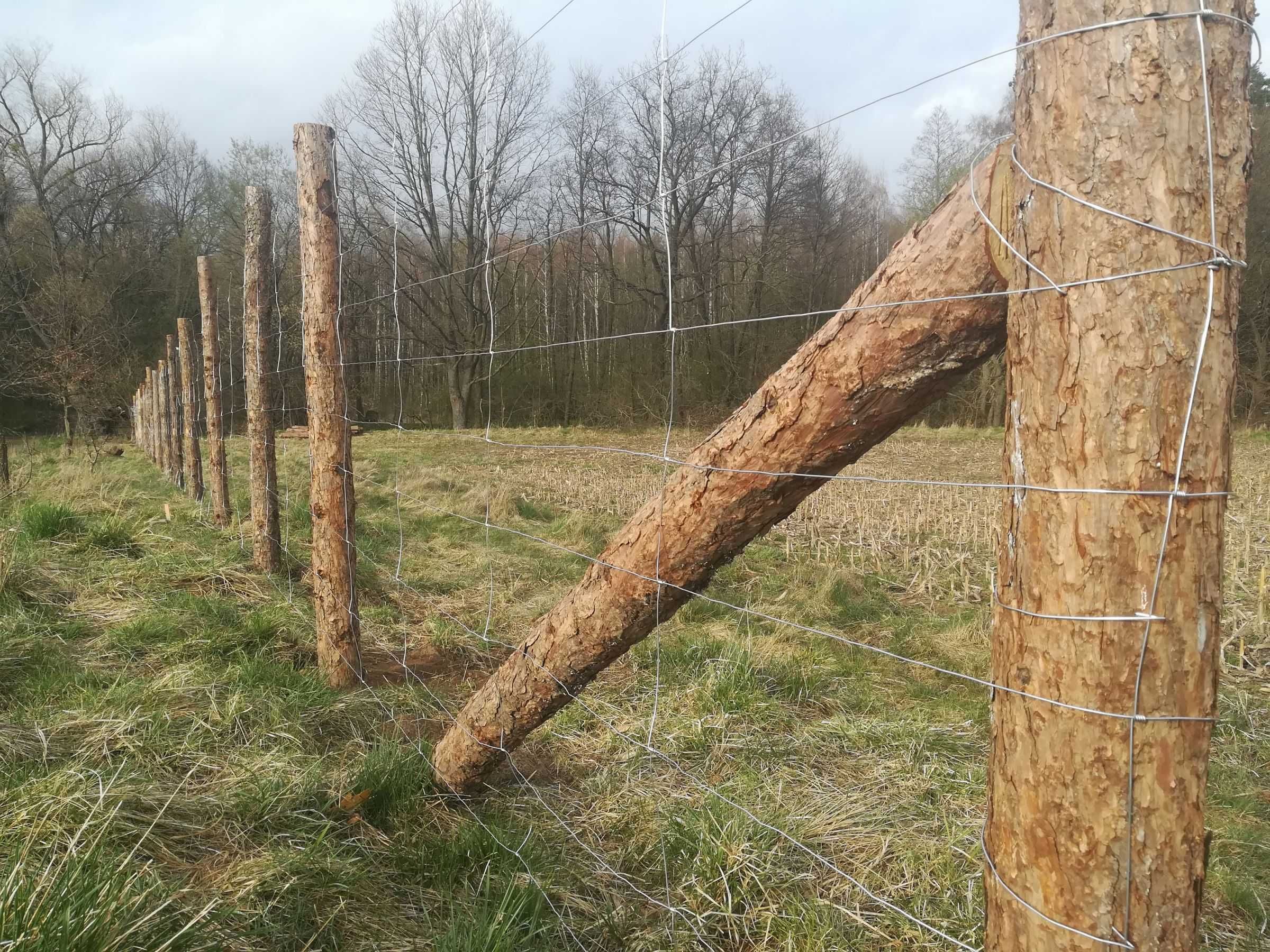 Ogrodzenie tymczasowe, płot na budowe, ogrodzenie leśne budowy