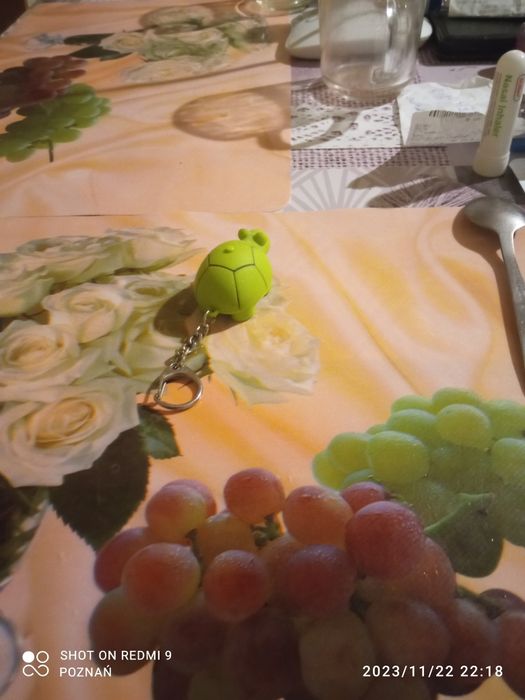Sprzedam breloczek żòwia