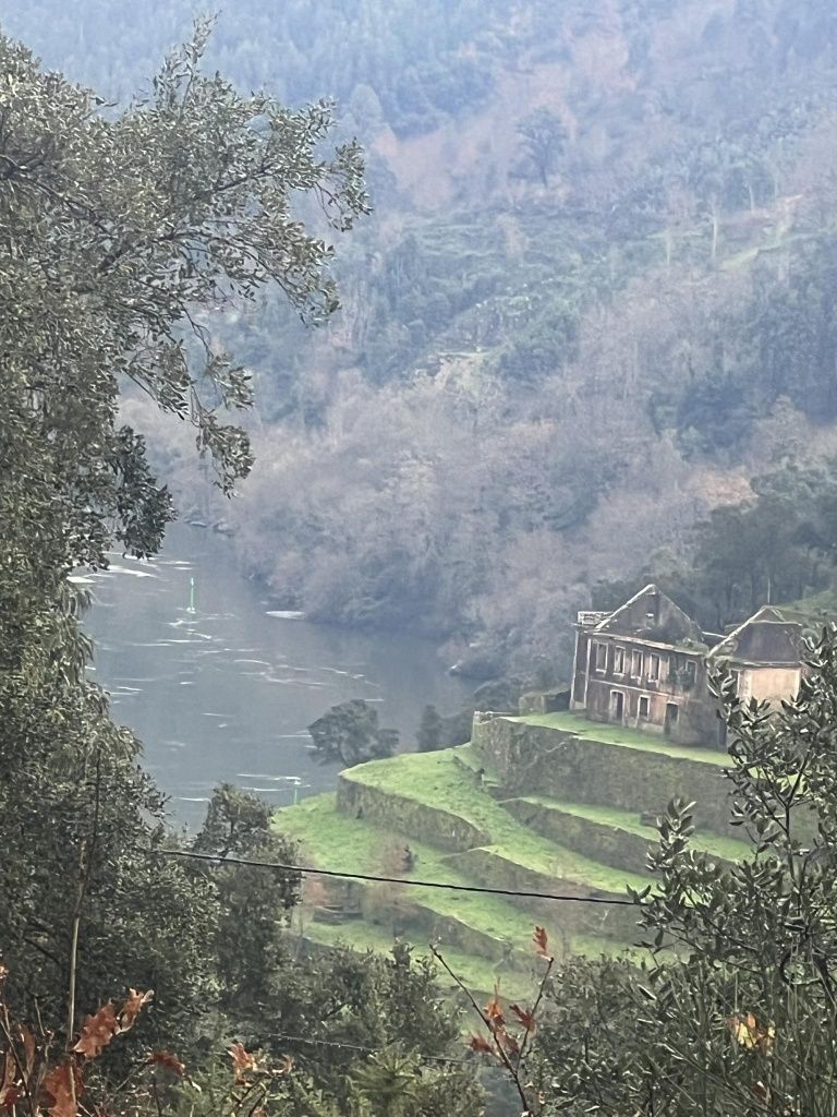 Terreno espetacular junto a praia fluvial em Cinfães