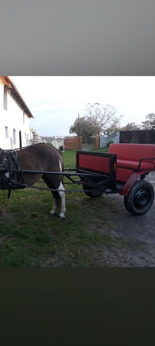 Sprzedam  lub zamienię na bryczkę dla kucyków