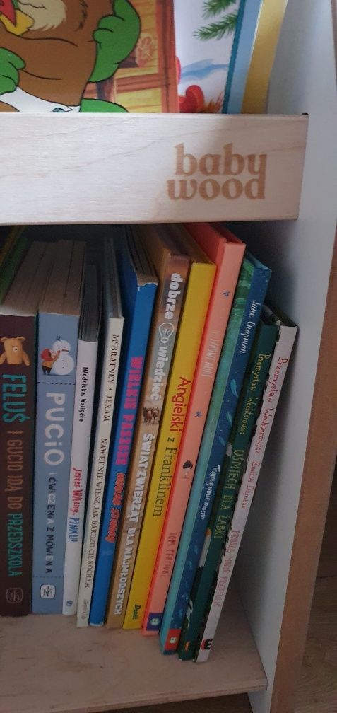 Półka na książki regał Baby Wood