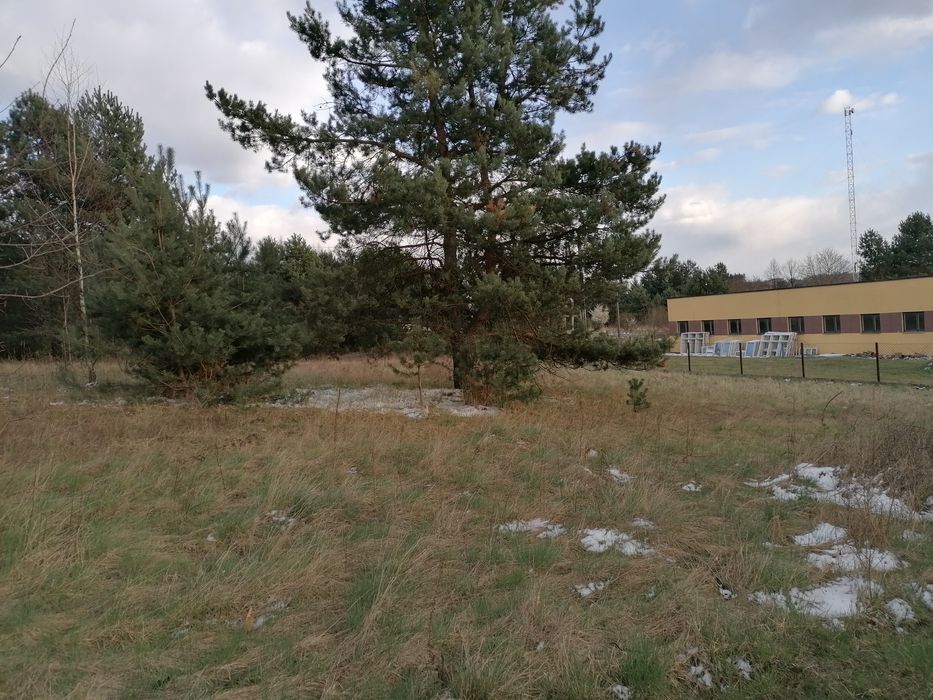 Dzialka budowlana 3000m2 +6 000m2 lasu
