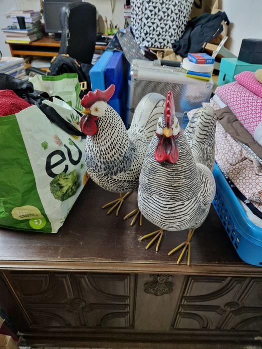 Galos de decoração