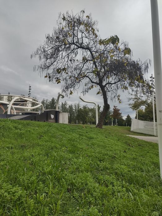 Cuidadora de idosos com experiência