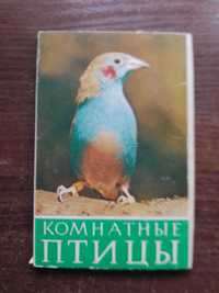 Набор открыток "Комнатных птицы"
