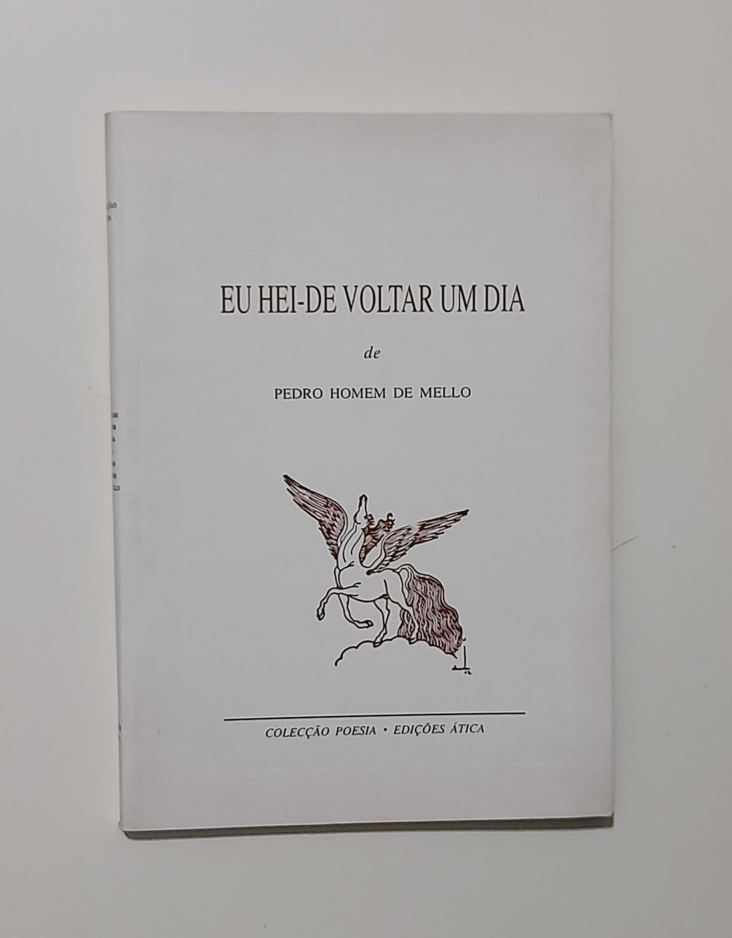 Eu hei-de voltar um dia - Pedro Homem de Mello