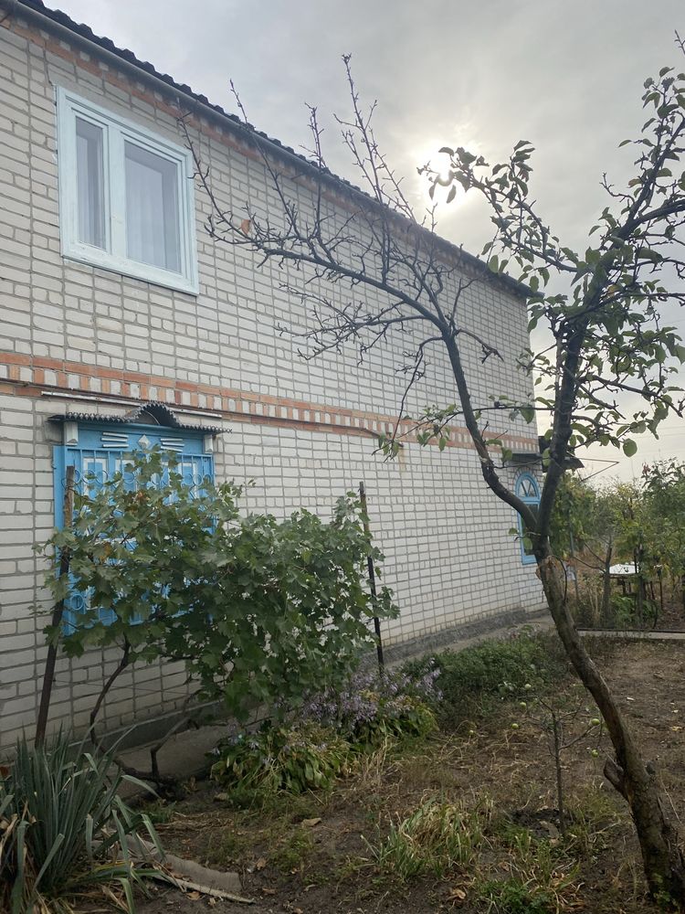 Будинок в Омельнику