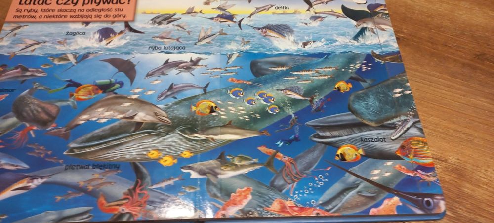 Książka Zwierzęta wodne z 8 układankami puzzle