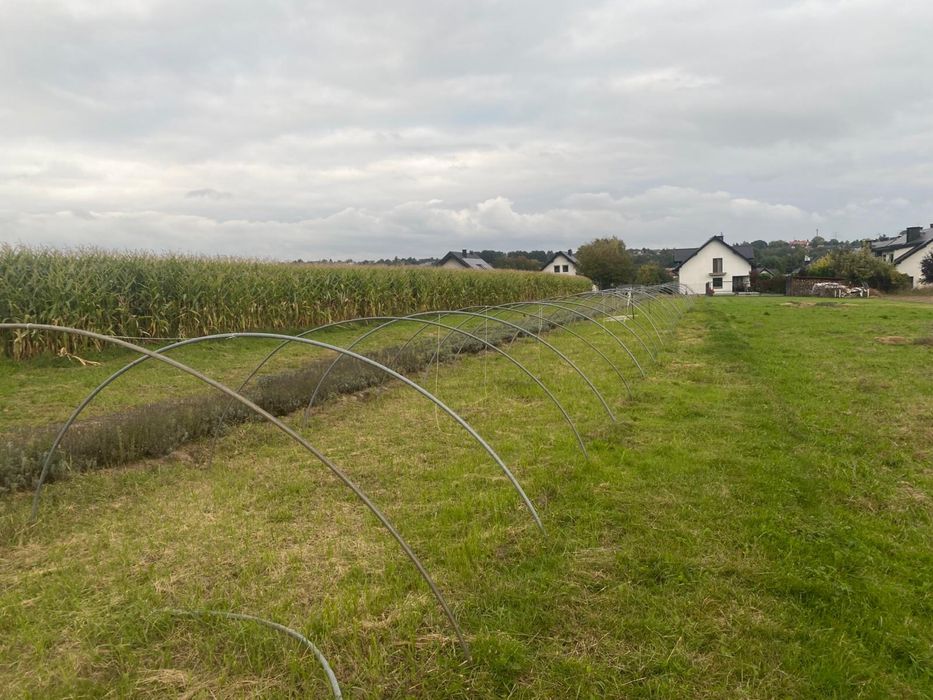 Tunel foliowy szklarnia